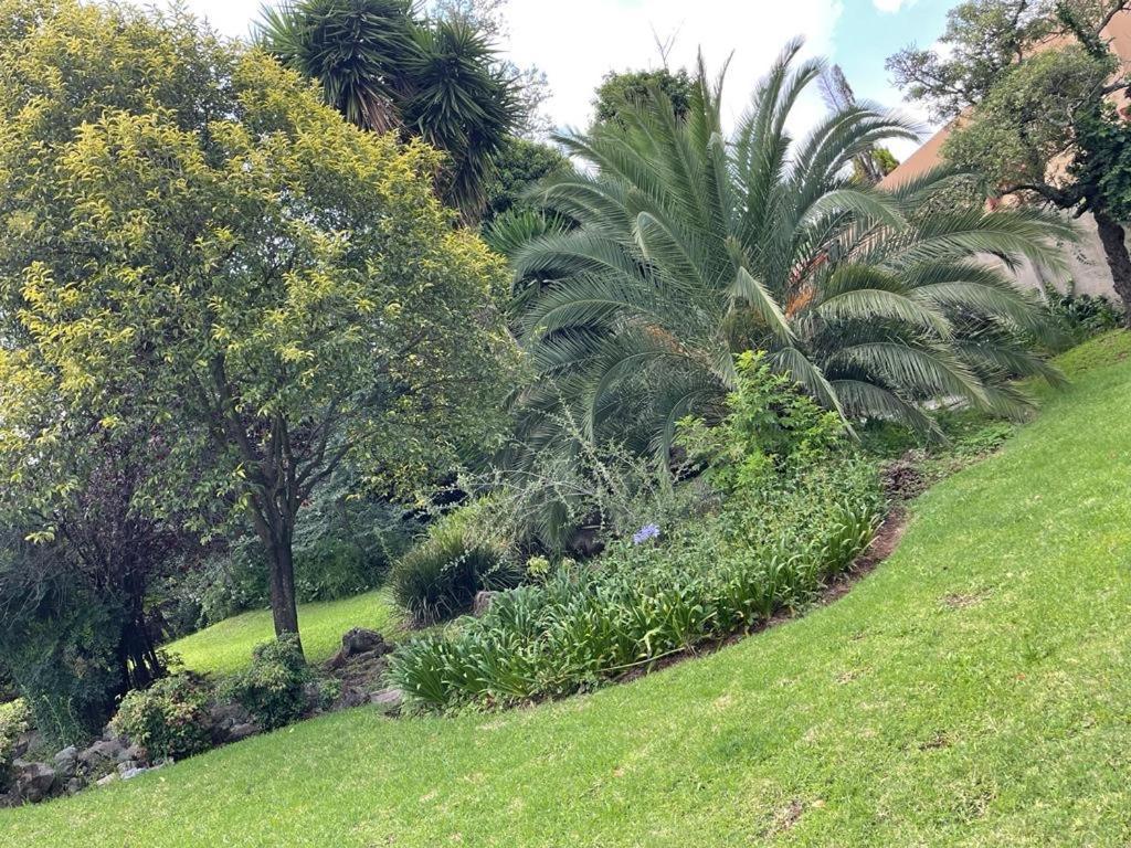 The South Way Bed & Breakfast Johannesburg Luaran gambar